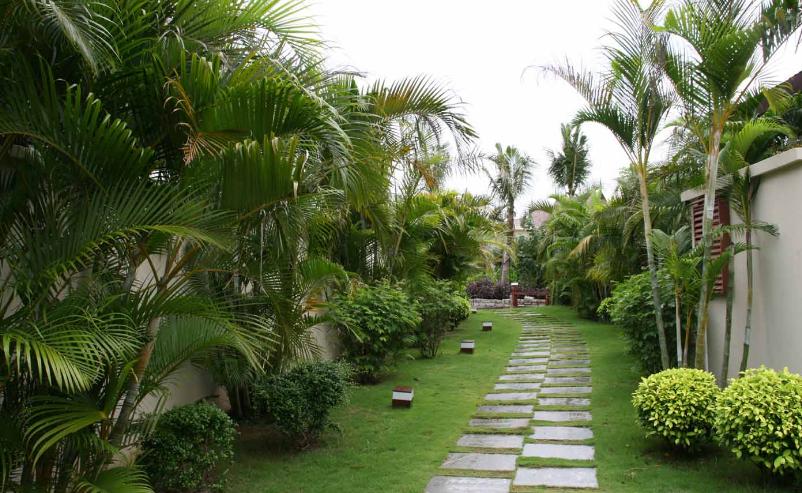 武漢園林設(shè)計(jì)公司分享園林樹(shù)木栽植三個(gè)原則