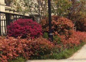 在園林設計布局中，色彩因素要注意什么？